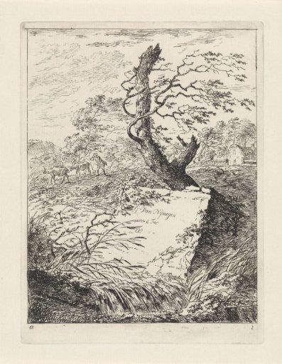 Stone by a tree