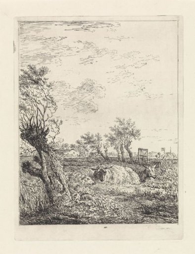 Sheep and a goat in a meadow