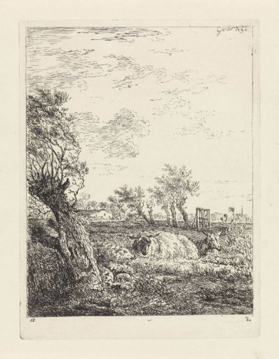 Sheep and a goat in a meadow
