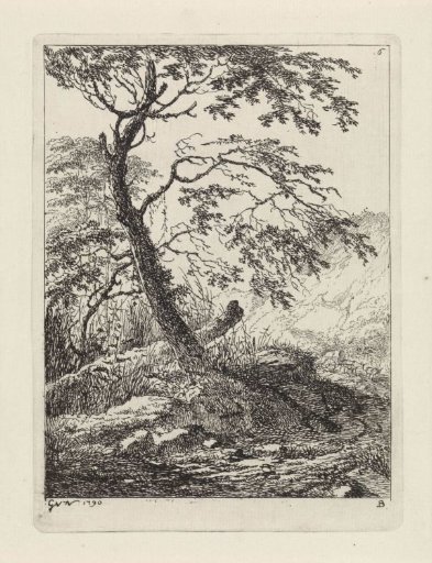Tree along a road