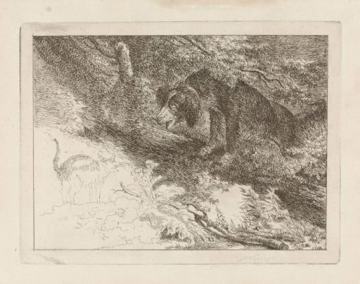 Dog and cat
