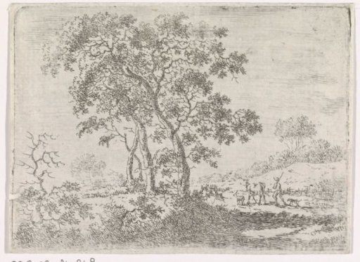Landscape with a group of trees along a road