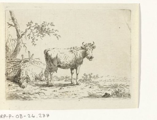 Lying and Standing Cow