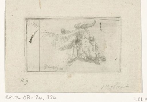 Head of a cow