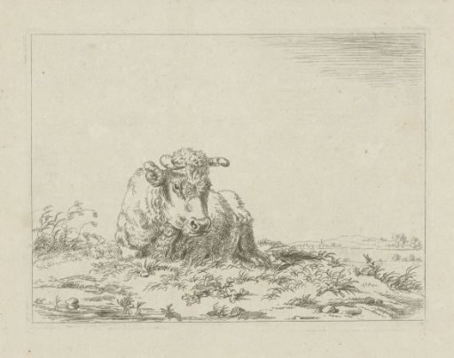Reclining cow