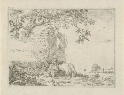 Lying calf before a ruin