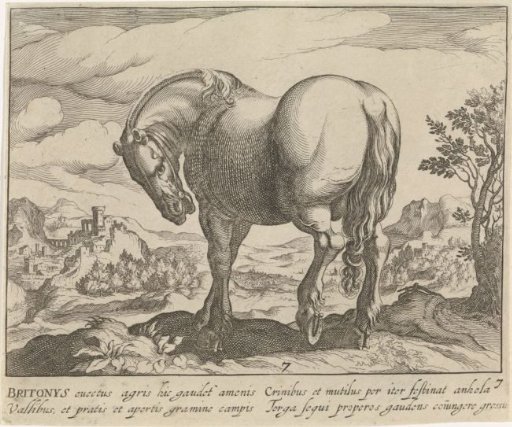 Landscape with a Horse from England