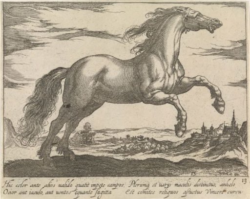 Landscape with a Galloping Horse