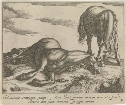 Landscape with a Dead Horse