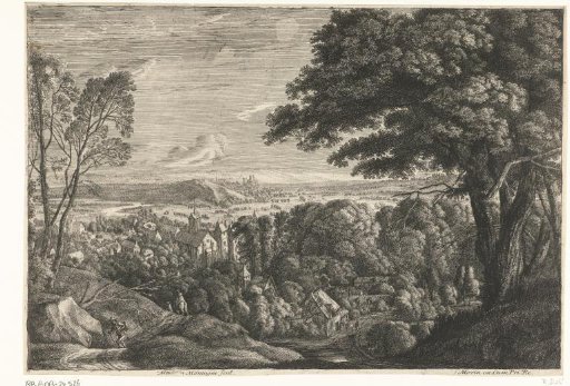 Hilly woodland landscape with a view of a village