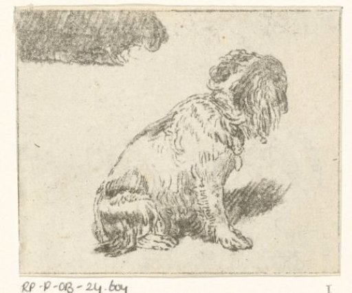 Sitting dog