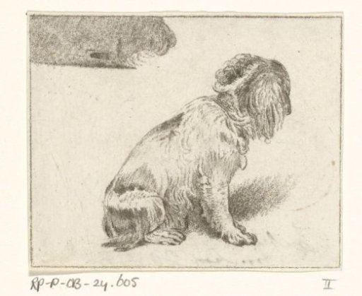 Sitting dog