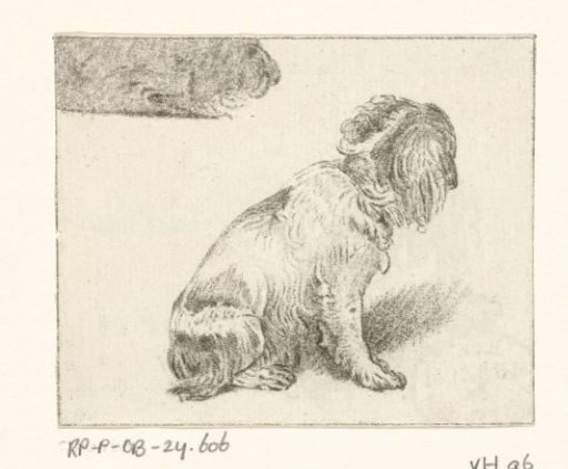 Sitting dog