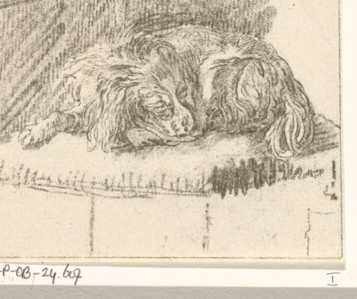 Lying dog
