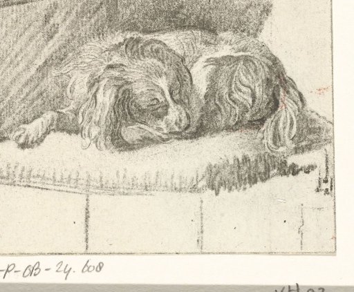 Lying dog
