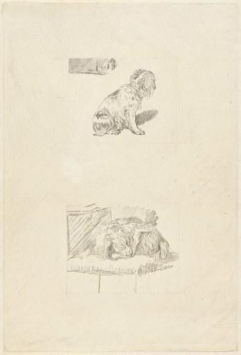 Sitting dog and lying dog