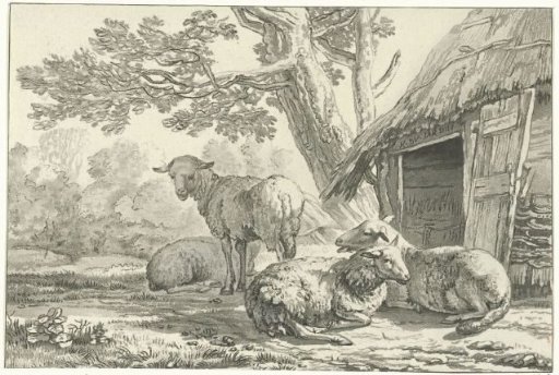 Sheepfold