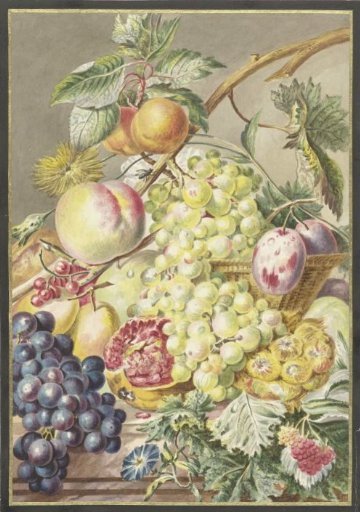 Still life with fruit