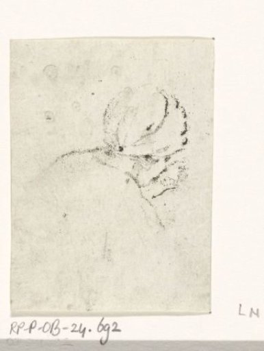 Woman's head