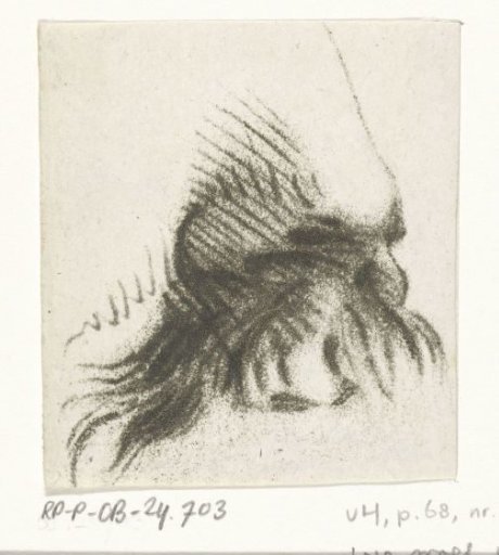 Nose with moustache