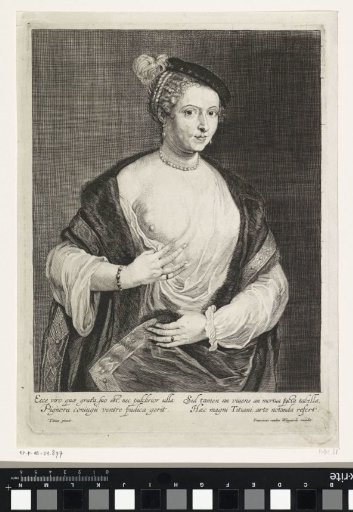 Venetian Courtesan