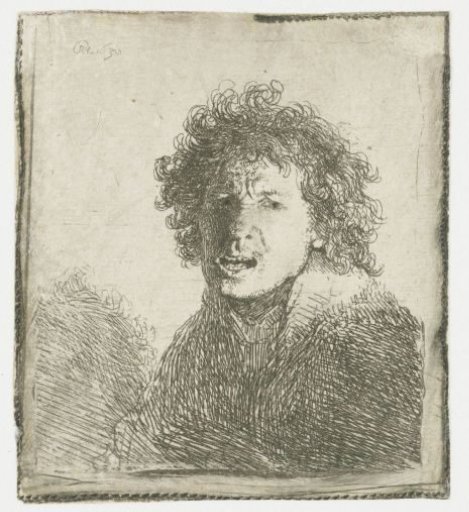 Self-portrait Open-mouthed, as if Shouting