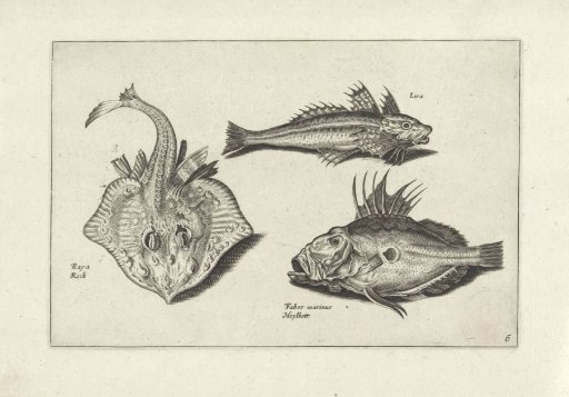Three fish