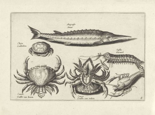 Fish and crustaceans