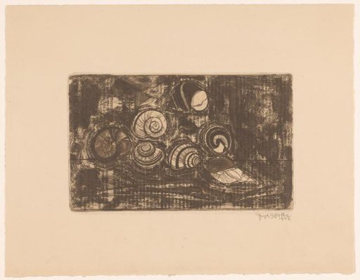 Seven Shells
