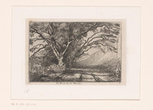 Hilly landscape with walnut trees
