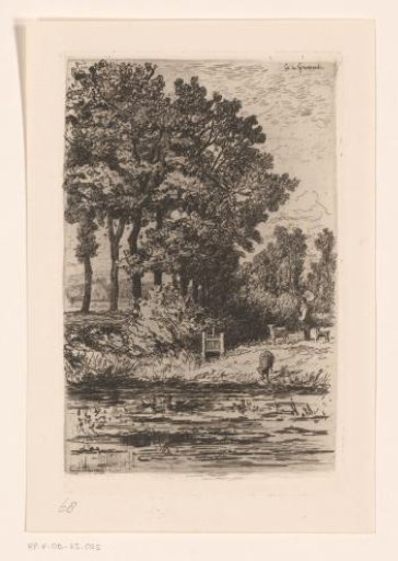 Landscape with oaks near Noord Deurningen