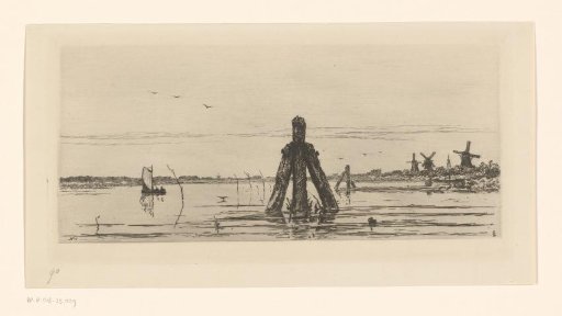 View of the Biesbosch near Dordrecht