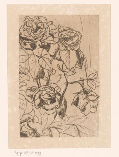 Roses