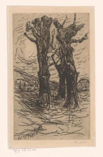 Chestnut Trees