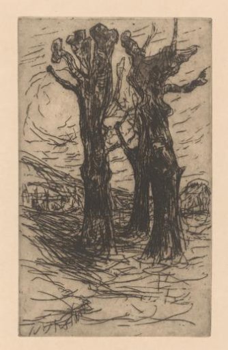 Chestnut Trees