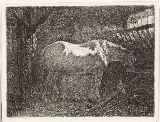 Horse in a stable