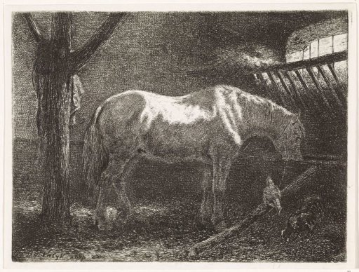 Horse in a stable