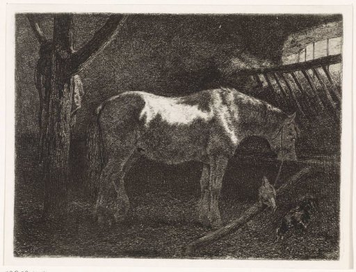 Horse in a stable