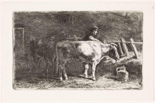 Farmer between two cows at a trough in a stable (large version)