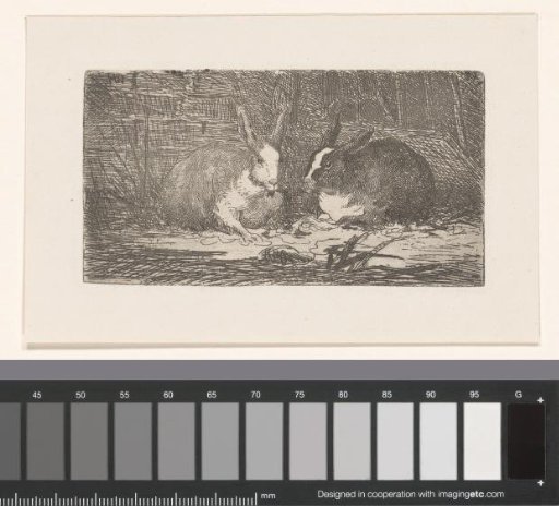 Two Rabbits