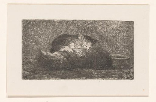 Two Cats