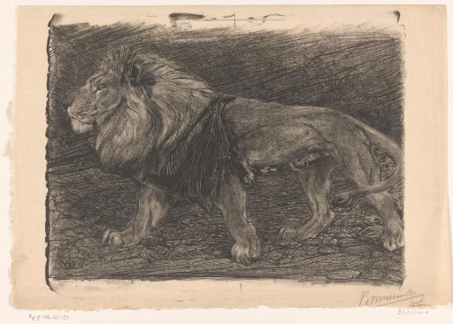 Walking lion
