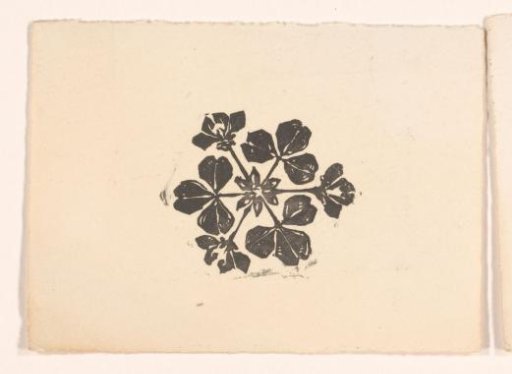 Flower vignette