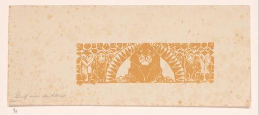 Lion, owls and monkeys