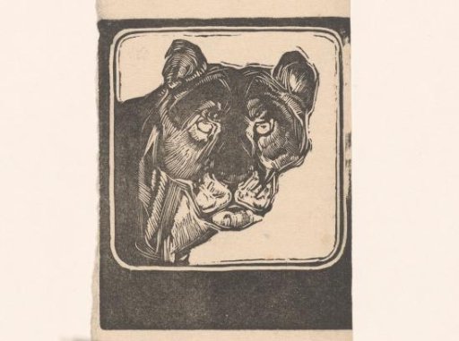 Head of a lioness