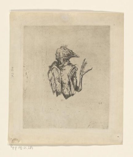 Young dead bird