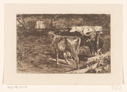 Four Cows in a Meadow