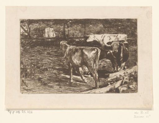 Four Cows in a Meadow
