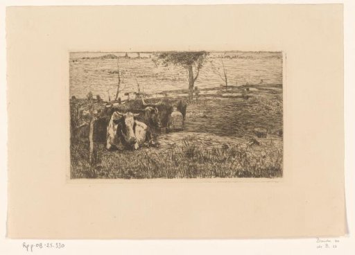 Cows in a Meadow with a Milking Farmer