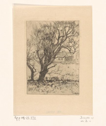 Tree in a Field